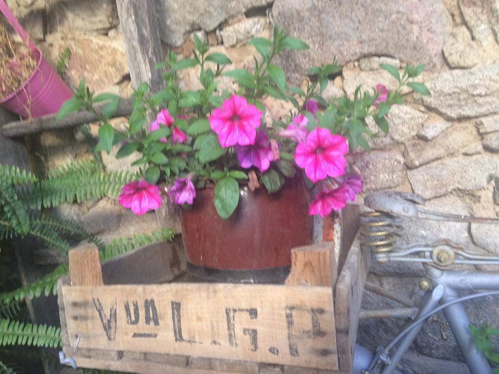 Casa Rural Amparo Mogarraz Ngoại thất bức ảnh