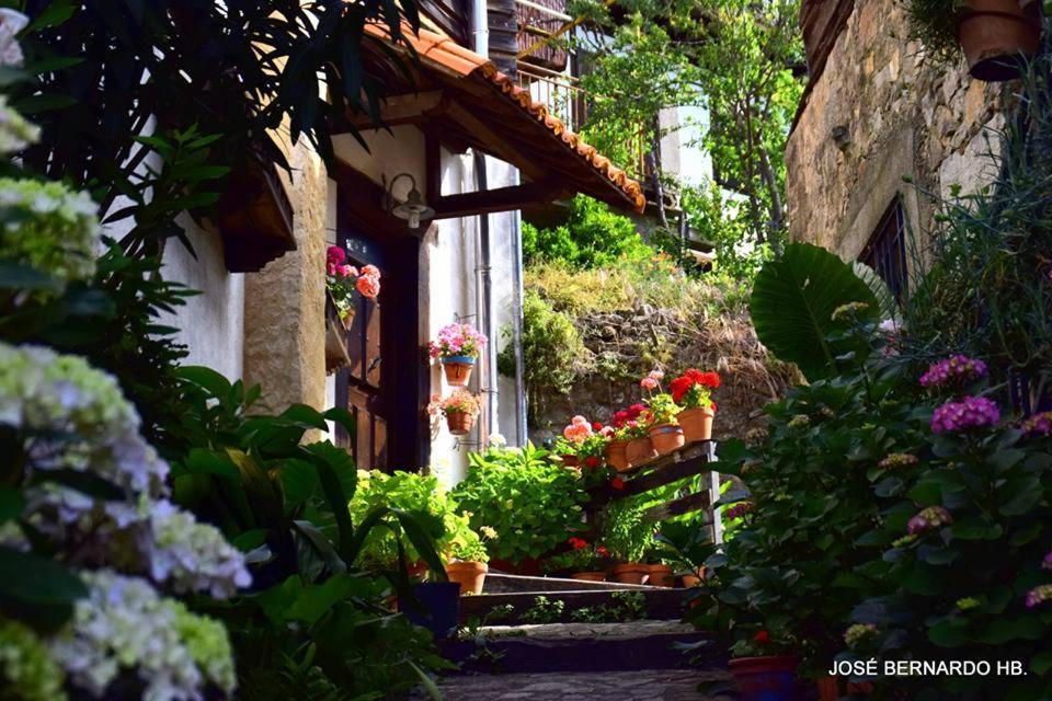Casa Rural Amparo Mogarraz Ngoại thất bức ảnh